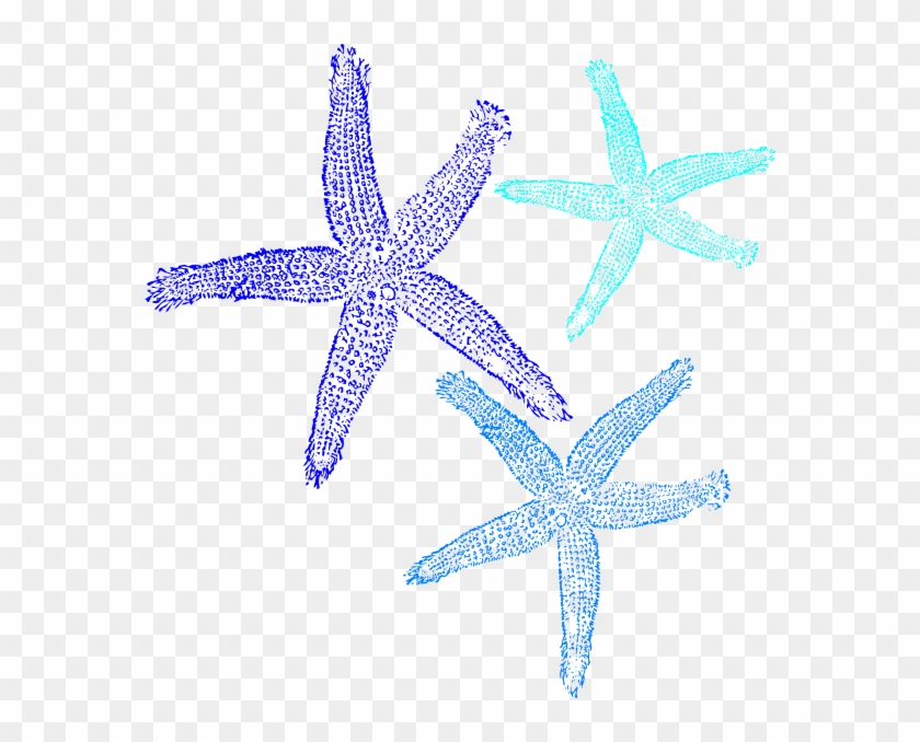 Blue Starfish Clipart - Blue Starfish Clip Art #468380