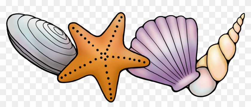 I Really Hope You Like Them - Transparent Seashell Border #468460
