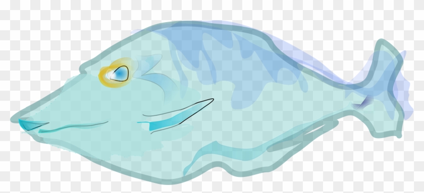 Big Image - Flounder Fish Shower Curtain #468570