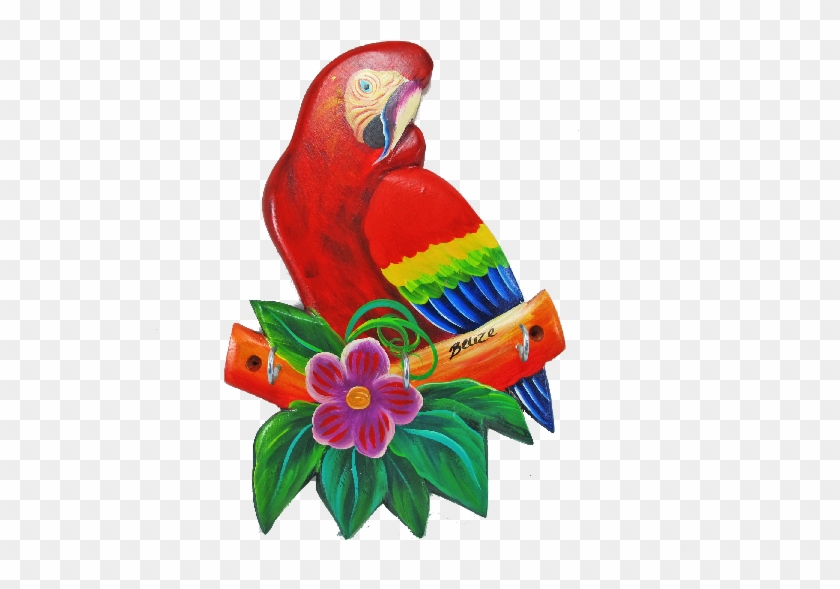 Macaw #468922