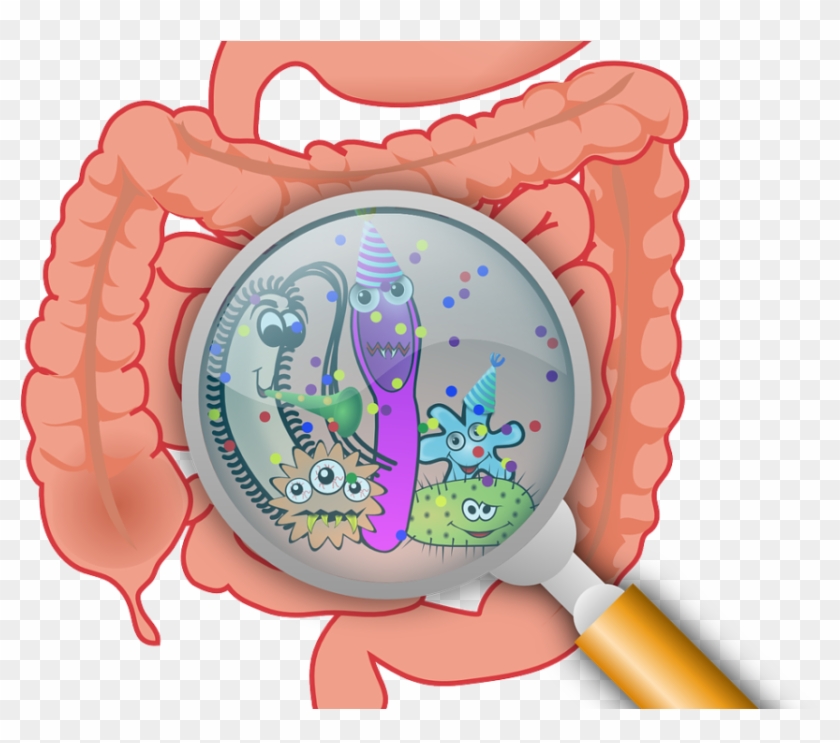 What Is It How Can It Be Stopped - Essential Handbook To A Healthy Gut #471206