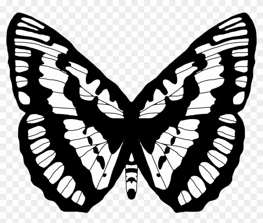 Black And White Butterfly 2 - Symbolism Of The Butterfly #472924