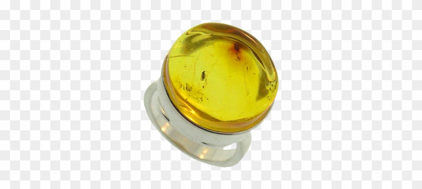 Russian Amber Fossil Ring Asrg0264 - Fossil #473716