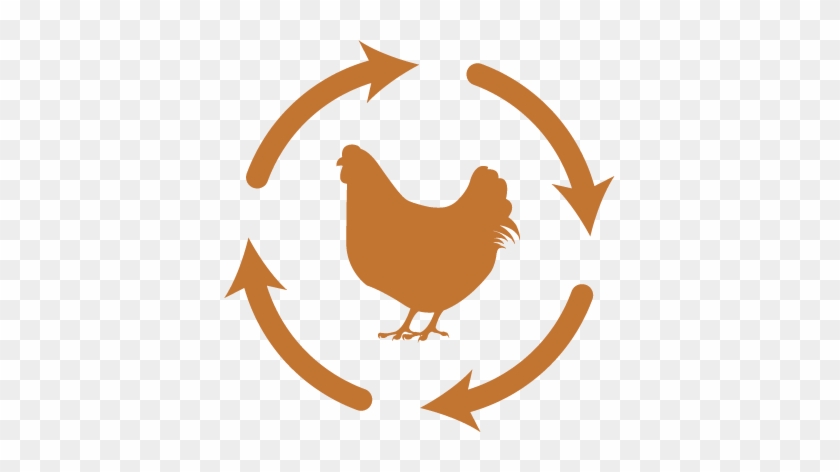 Not All Chicken Is Created Equal - Chicken Dust Bath By Lixit 5.5 Lb #473755