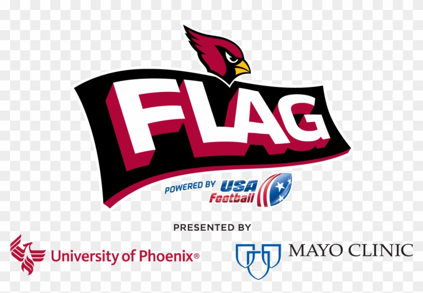 Zoom Link - Arizona Cardinals Nfl Flag #474227