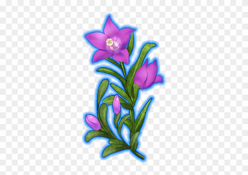 Southern Cross Dressbloom - Iris #474845