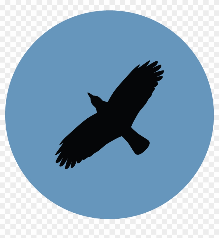 The Ultimate Harry Potter Quiz - Real Time Operating System #476569