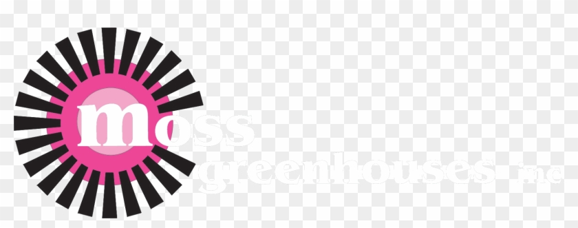 Image - Rays Png #478066