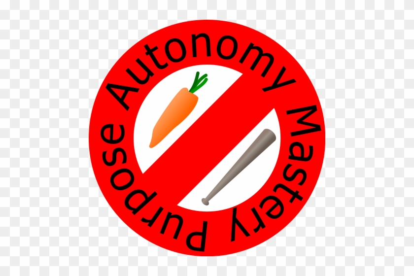 The Connection Between Performance & Compensation - Carrot And Stick Motivation #478445
