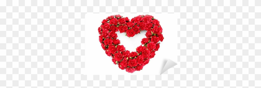 Rose #478696