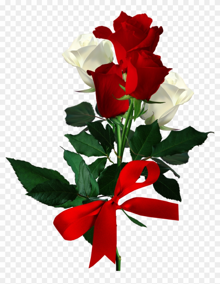 Tubefloweralbumbeautiful Red Rosesbouquetsgood Morningrosessweetie - Red Rose #478781