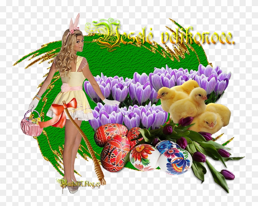 Sva73 - Spring #479033