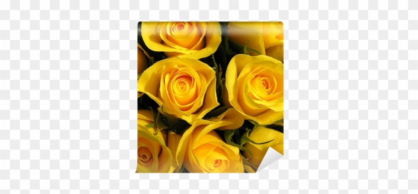 Night Light Designs Night Light Yellow Roses Flower #479108