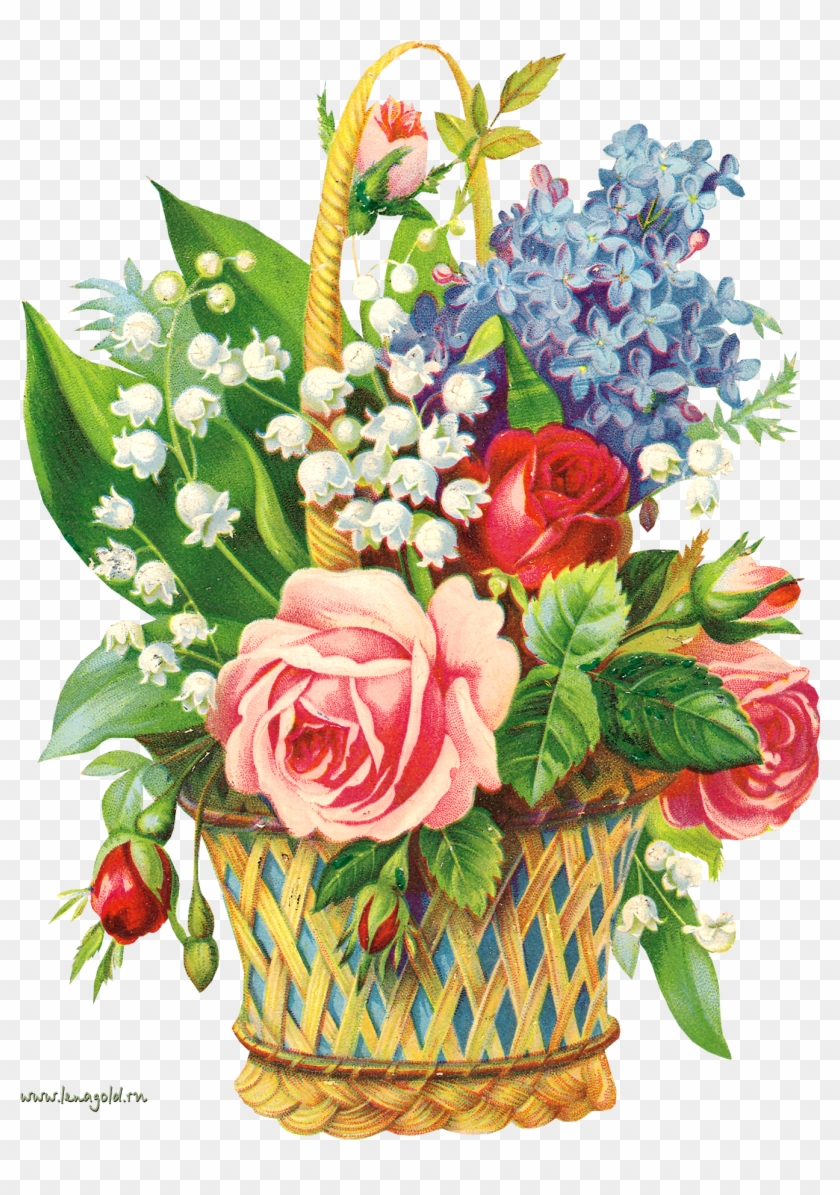 A Place For Today's Modern Witches - May Flowers #479820