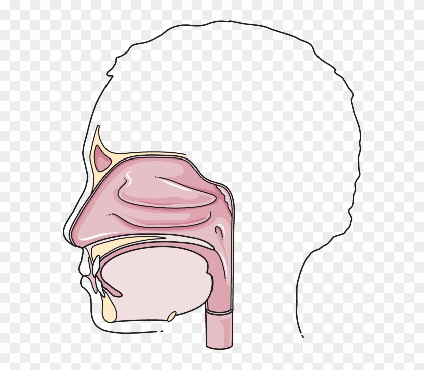 Mouth - Mouth #482860
