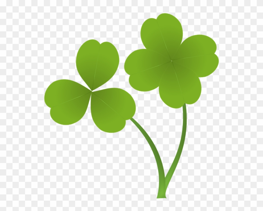 四つ葉のクローバー（二輪） - Four-leaf Clover #483036