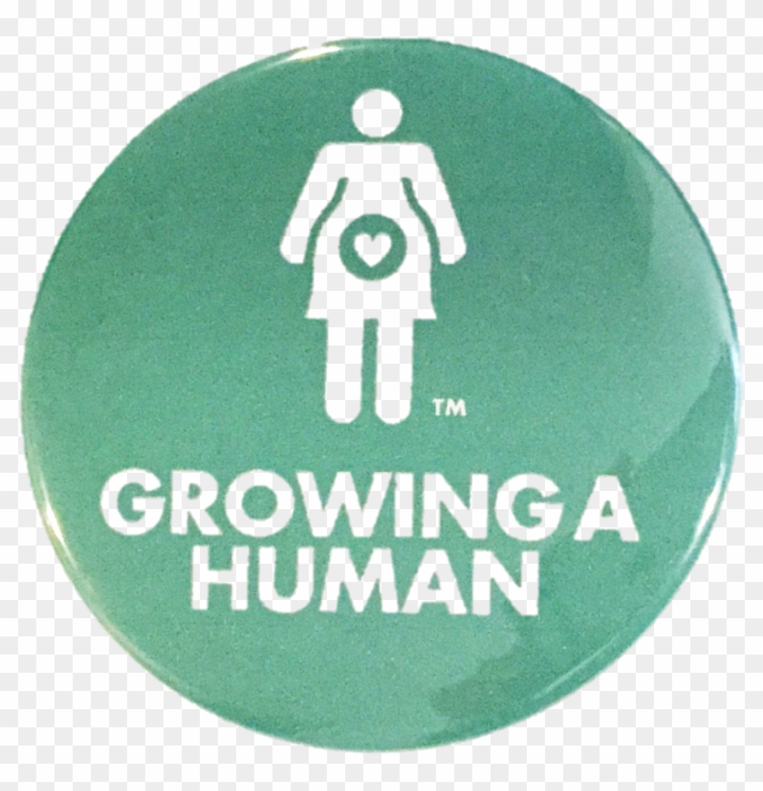 Baby Shower Favors - Pregnancy Pin #483371