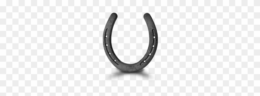 With Advice Straight From The Horse's Mouth - Earrings #483686