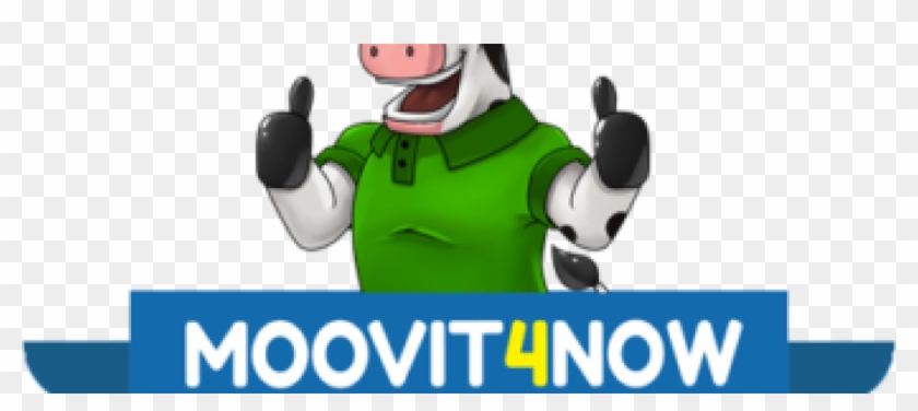 Moovit4now #484015