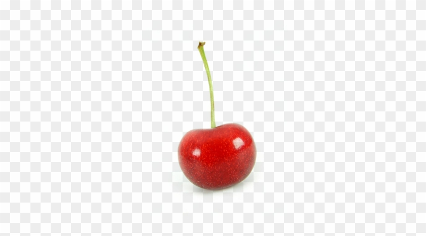 Cherry - Transparent Cherry Png #484608