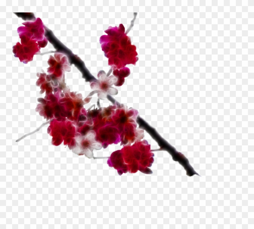Download Cherry Blossom Clipart - Crape Myrtle #484659