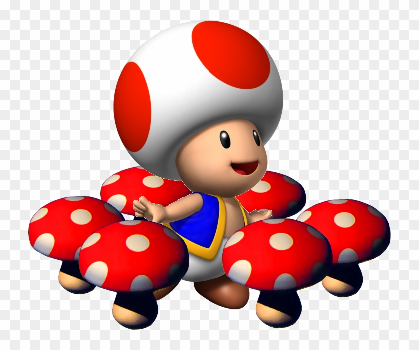Surinam Toad - Toad Mario #485595