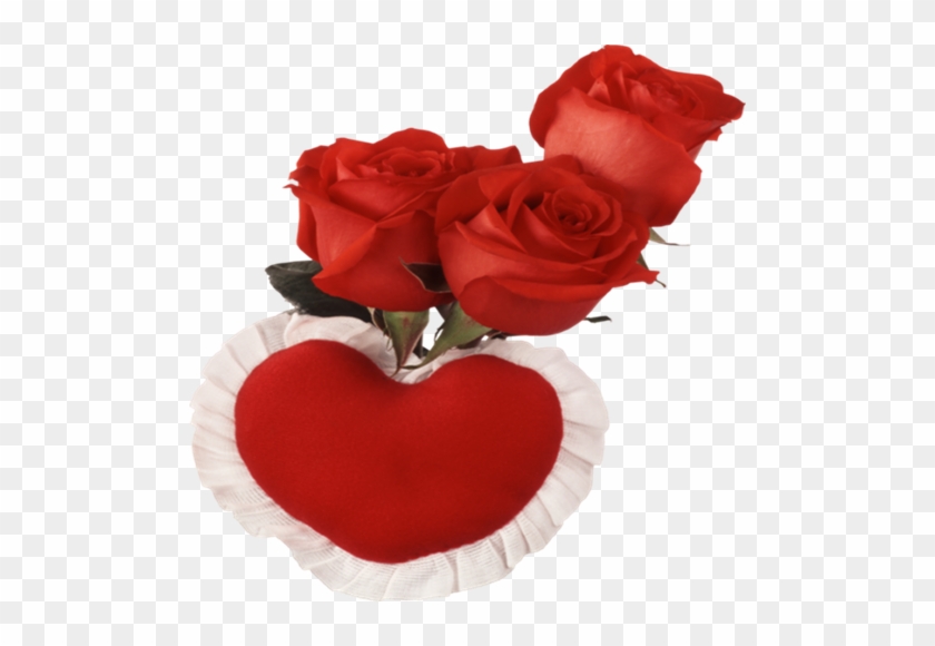 Urdu Image, Tube, Red Roses, Beautiful, Roses, Gentleness - Love You Images With Name #487556