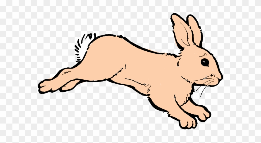 Bunny To A Random Session - Free Colouring Pages Rabbits #487581