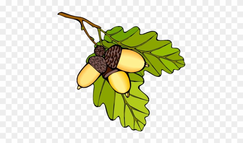 Eichenblatt Symbol #487887