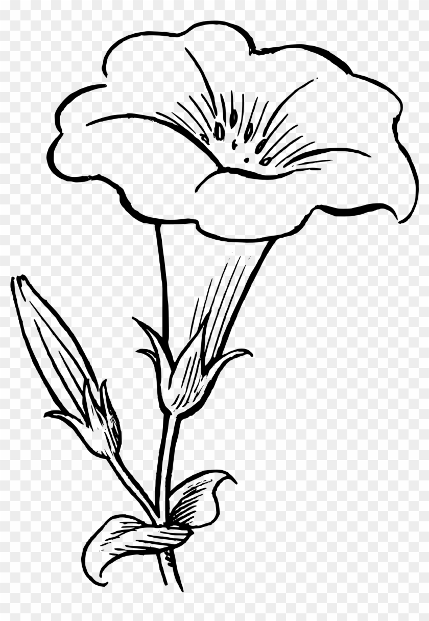 Crochet - Flower Black And White Drawing #487916