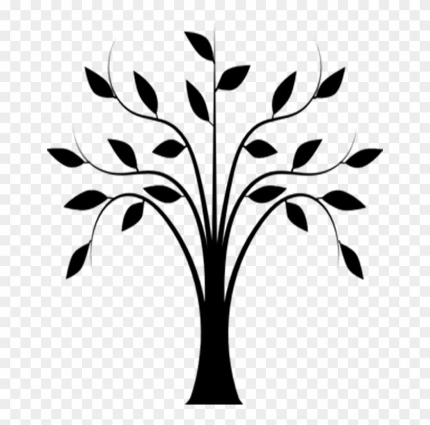 Curtains - Line Drawing Of Tree #488463