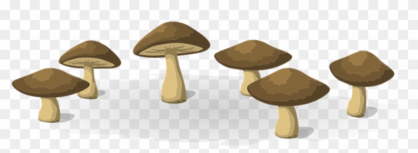 Sliced Mushroom Cliparts 28, Buy Clip Art - Vegetarian Cuisine #488725