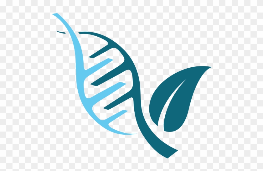 Dr Nurani, Naturopathic Doctor - Gen Dna Logo Vector #489124