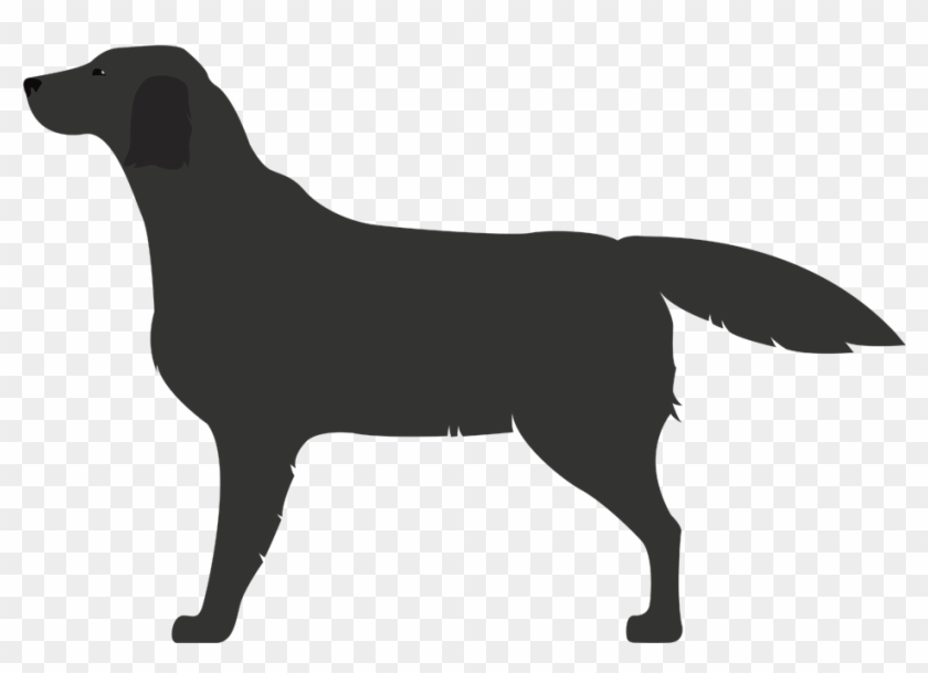 Retriever De Pelo Liso - Carolines Treasures Bb3808sh4 Black Labrador Retriever #490107