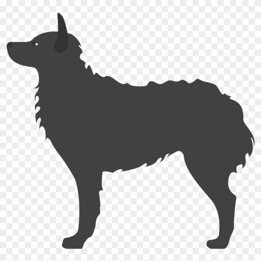 Pastor Croata - East Urban Home Croatian Sheepdog Checkerboard Wall #490118