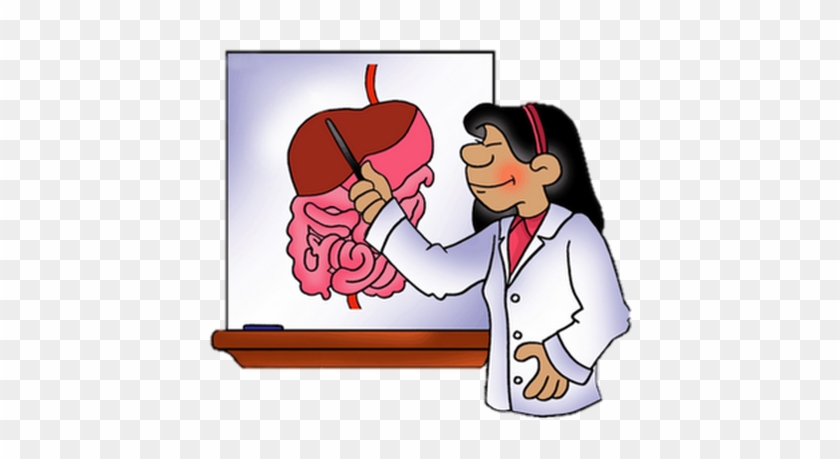 Http - //anoixtosxoleio - Weebly - - Html# - Science - Digestive System Clip Art #491480