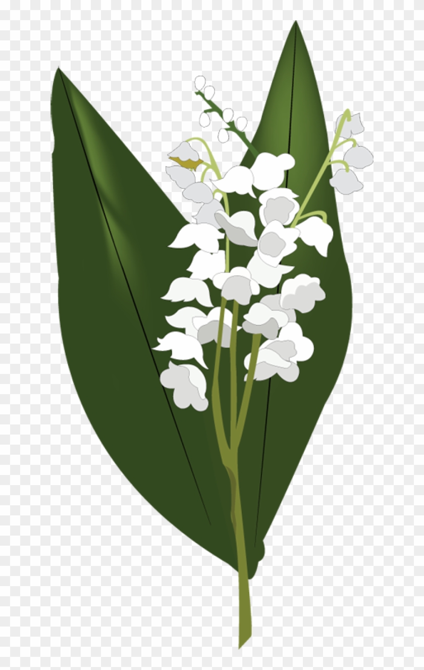 Lily Of The Valley Png Hd - Lily Of The Valley Png #491845
