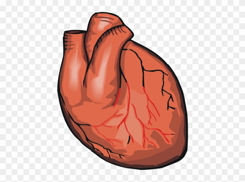 Heart - Heart #492182