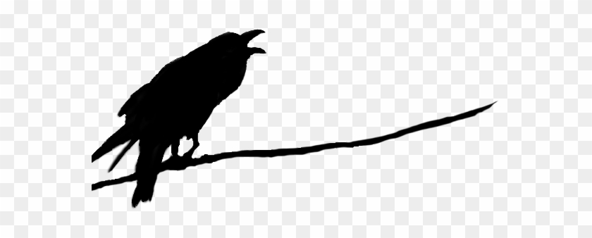 Raven - Png Raven #493301