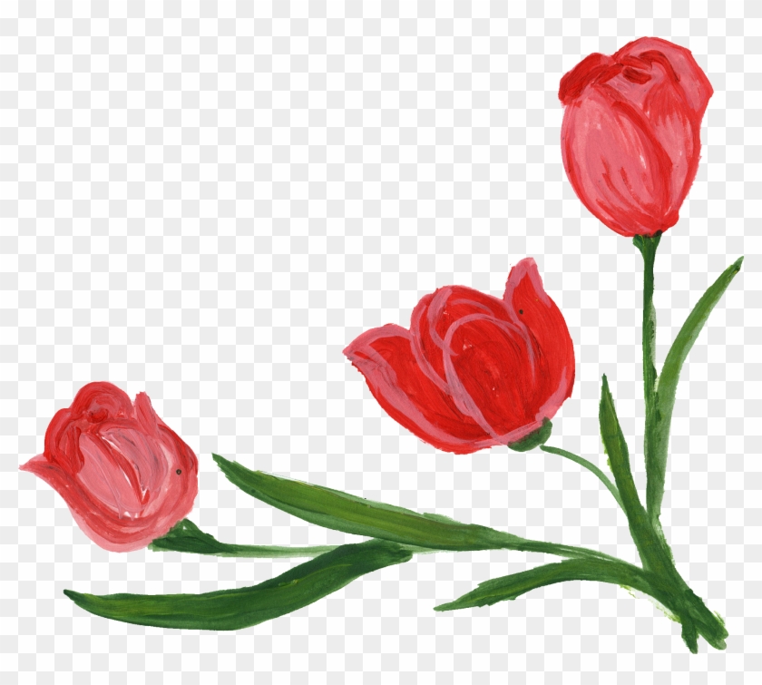 Free Download - Sprenger's Tulip #494141