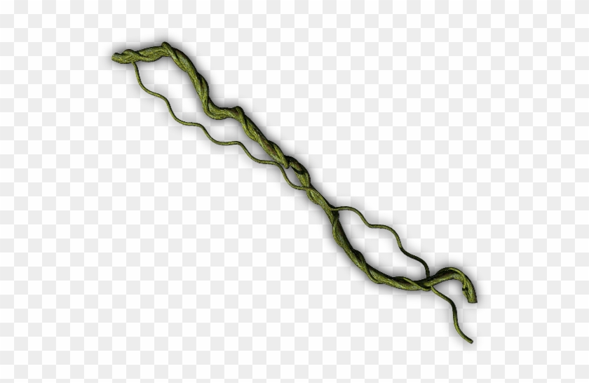 Jungle Vines With Leaves - Jungle Vine #495262