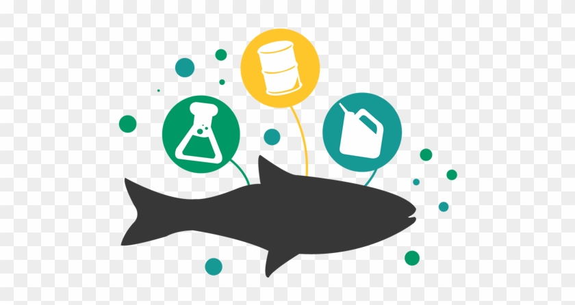 Microbead Toxin Exposure Graphic Sb-01 Cropped 600px - Icon #496553