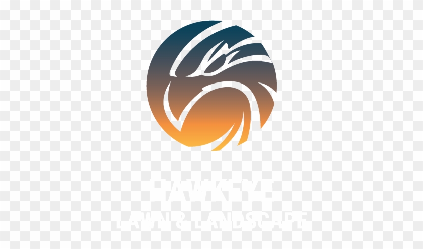 Graphic Design #497930