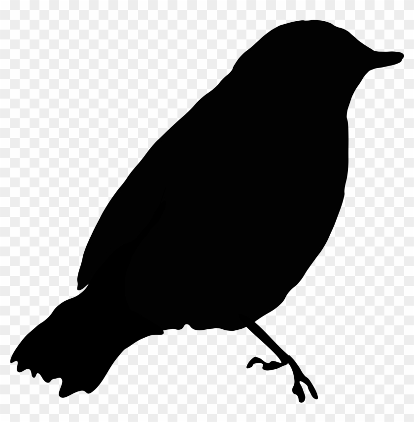 Clipart Of Black Bird Image Blackbird 1 Clip Art At - Draw A Black Bird #86005