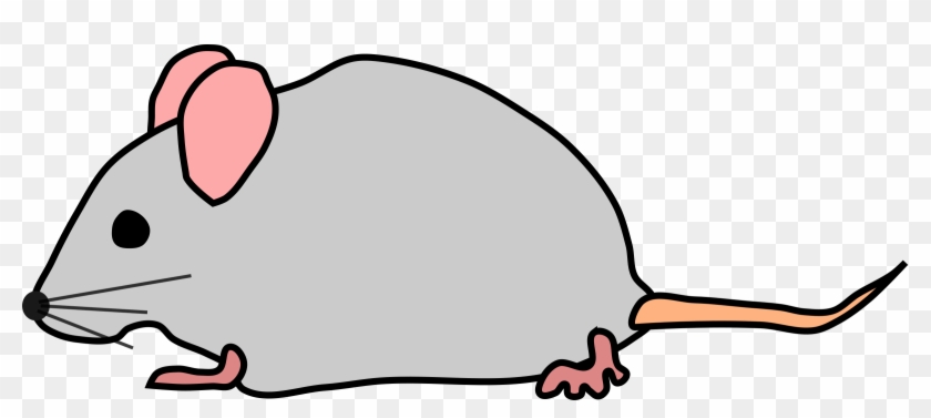 Clipart Graphic Mouse - Mouse Clipart #86567