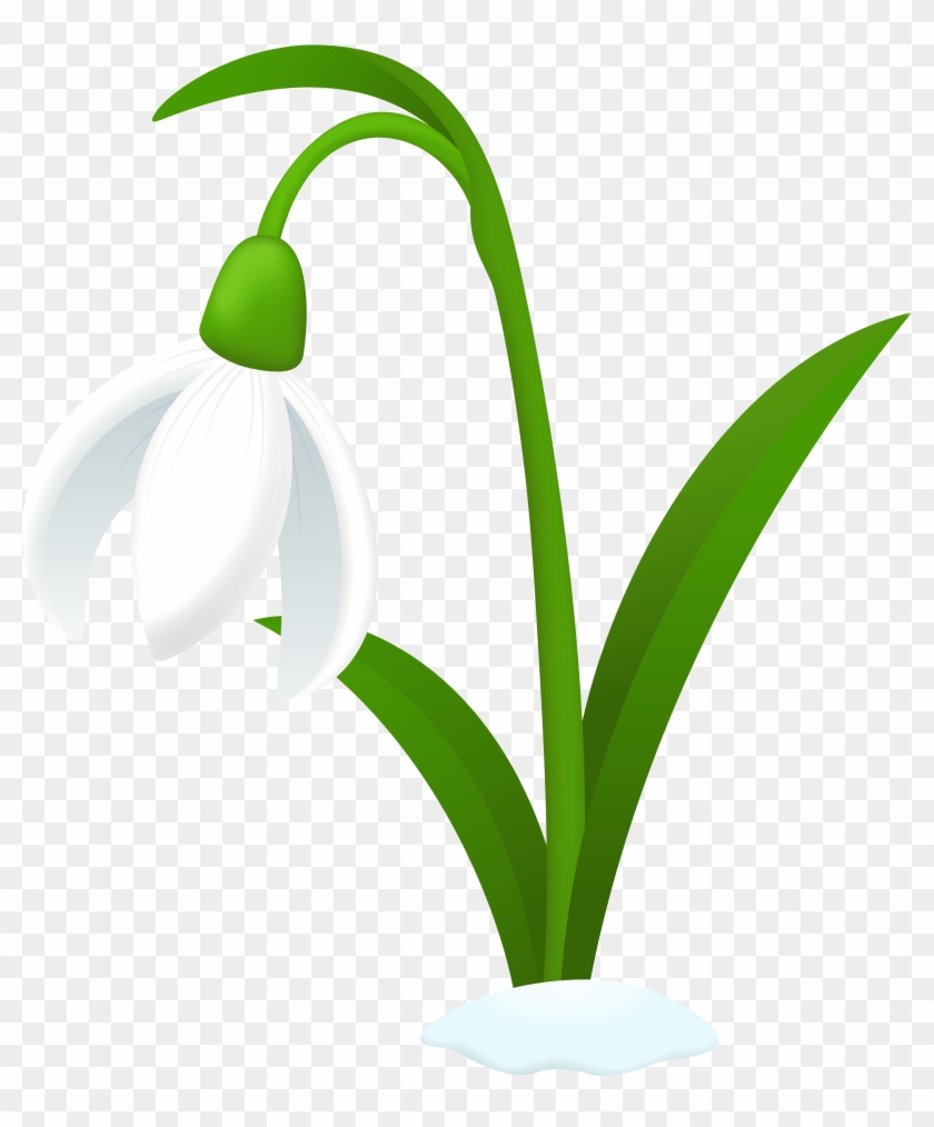 Snowdrop Flower Tattoos - Snowdrop Clipart #90207