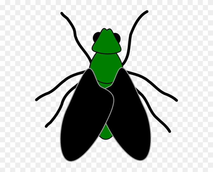 Green Fly Black Clip Art At Clker Com Vector Clip Art - Fly Clipart No Background #93472