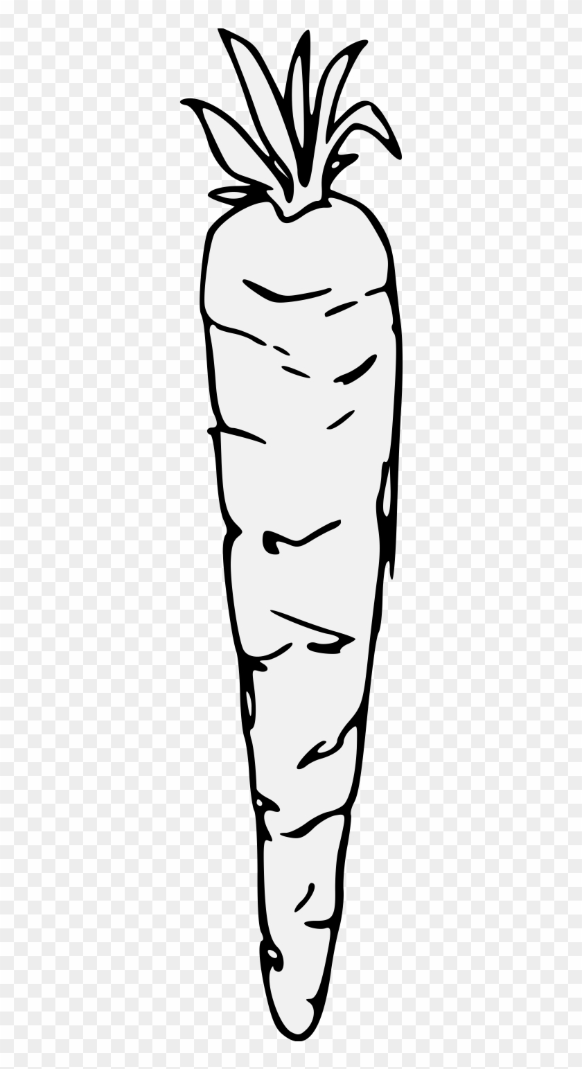 Carrot - Carrot #502553