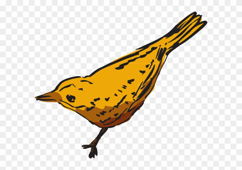Bird #503972