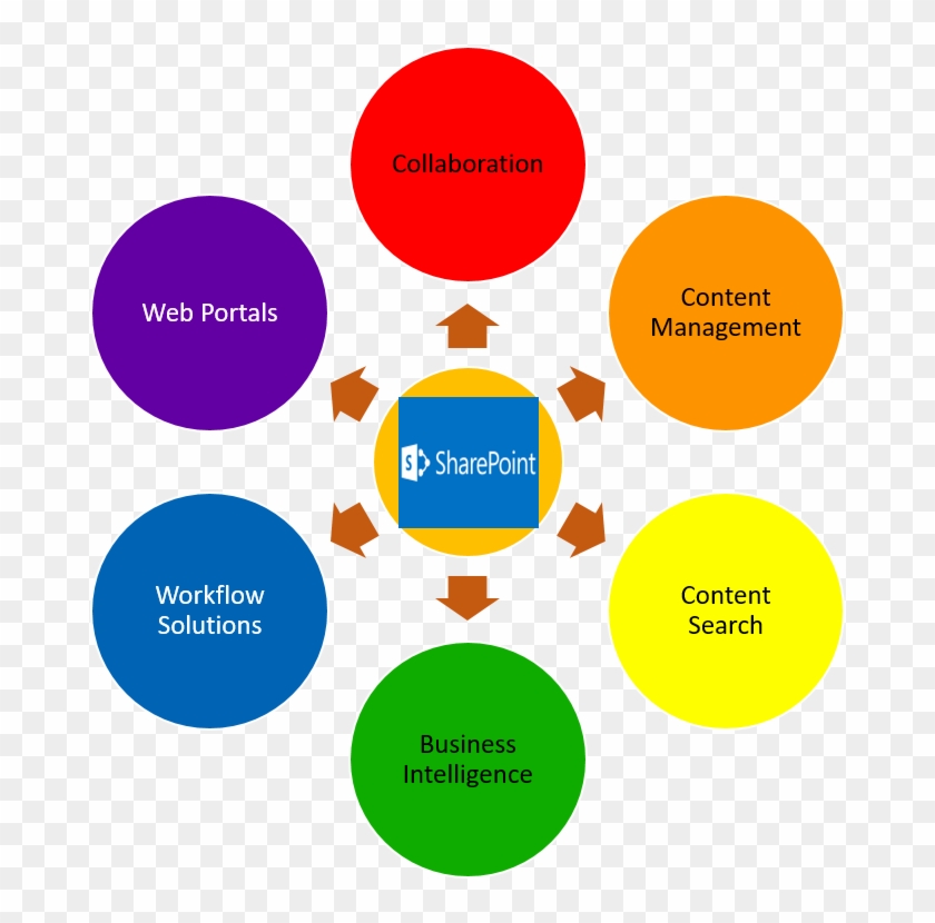 Envision Solutions, Provide Roadmap To Move Onto Sharepoint - Hospital Information Management System #504973